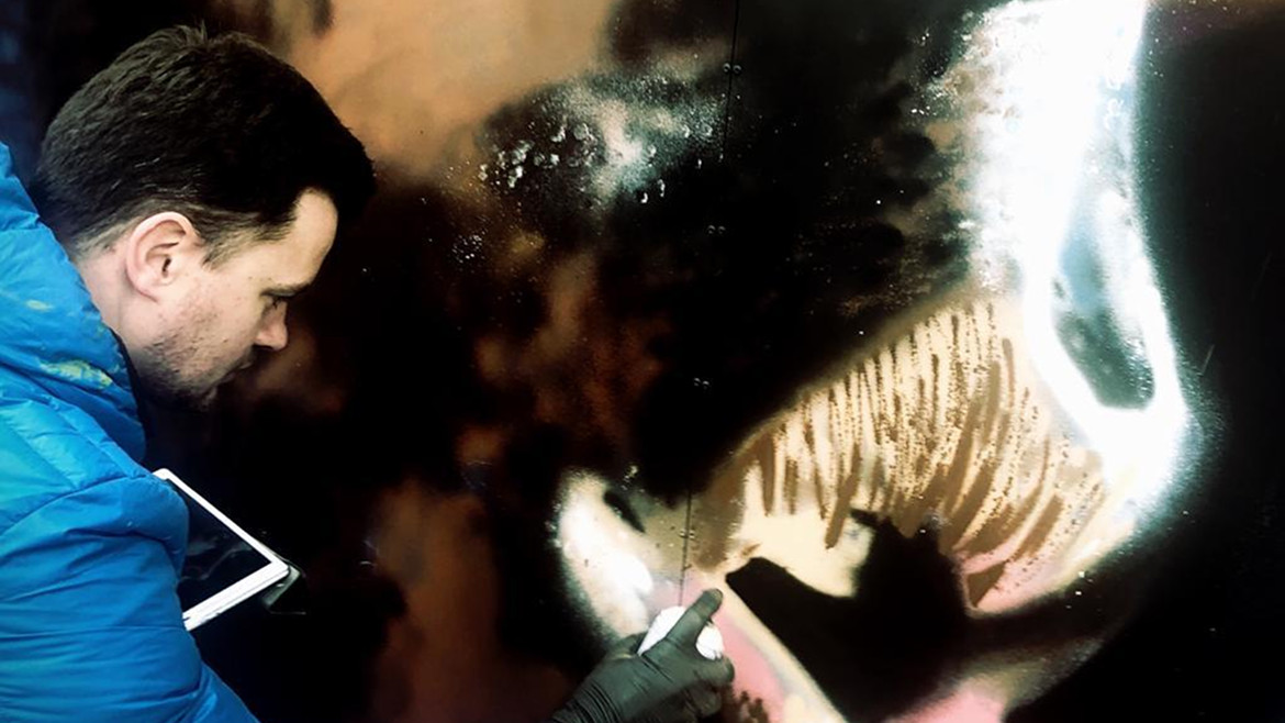 Immagini dell'artista OBI - Roberto Candotti