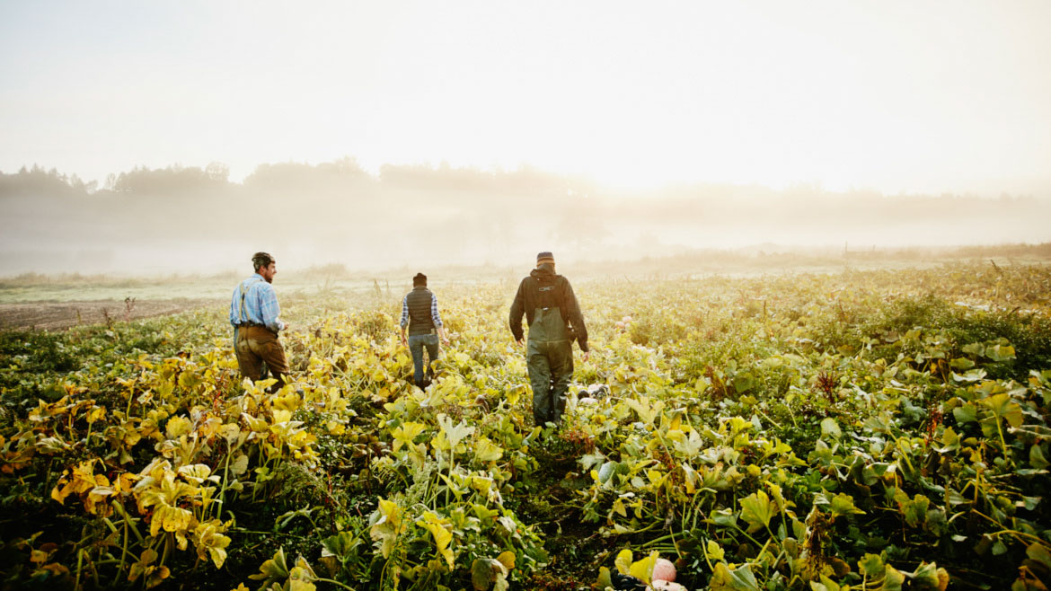 foto di alcuni agricoltori in mezzo ad un campo coltivato