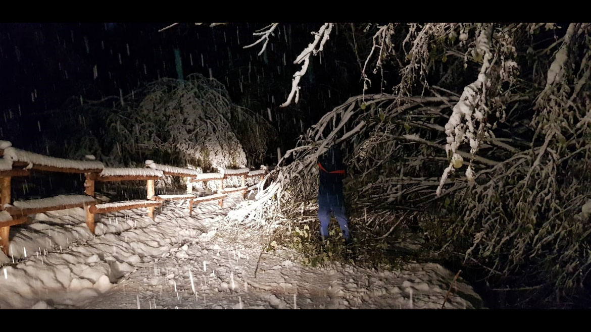 Foto dell'emergenza neve in Piemonte di novembre 2019