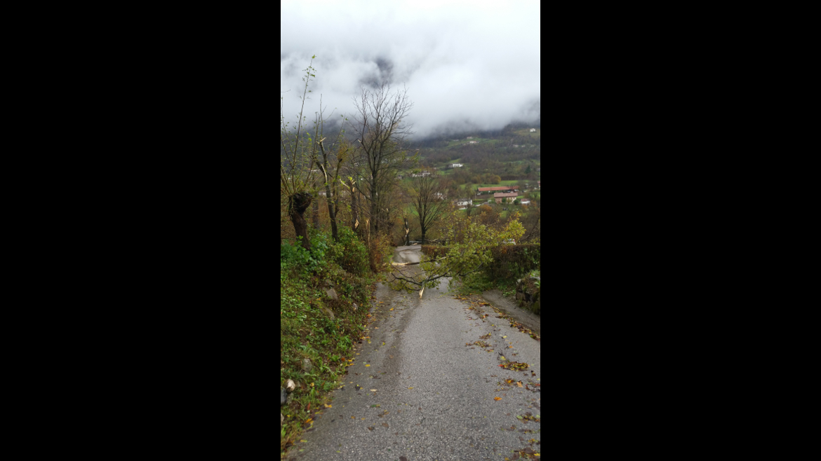 Immagine dei danni del maltempo a Feltre provincia di Belluno