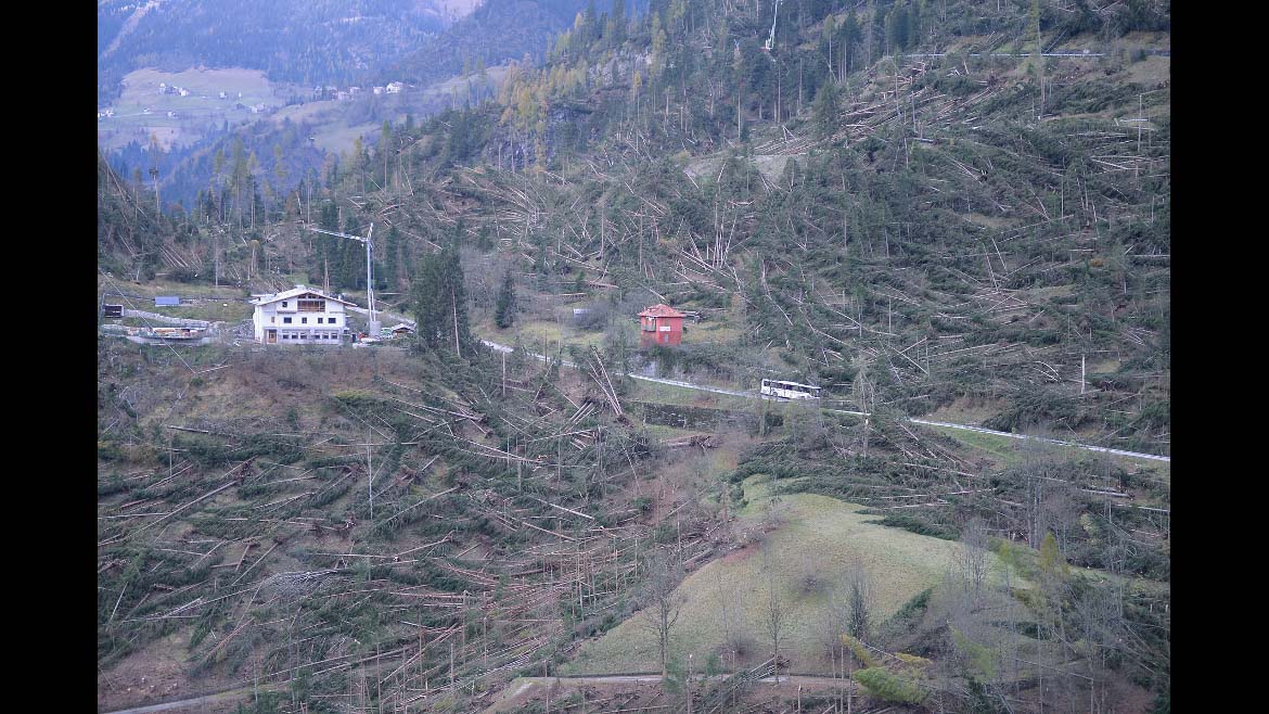 Immagine dei danni del maltempo a Feltre, provincia di Belluno