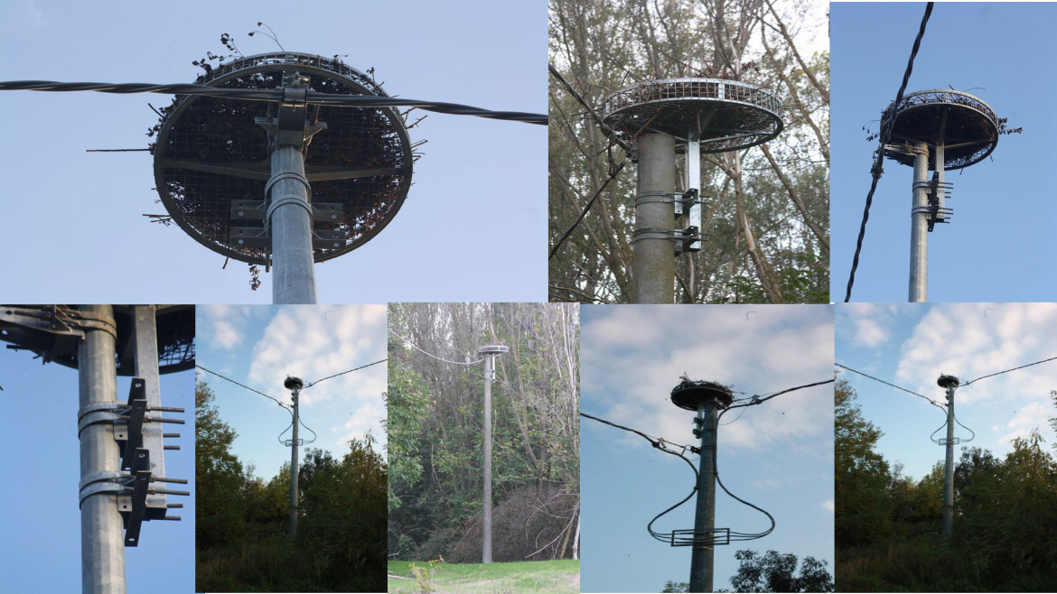 Immagini delle strutture in metallo poste sui tralicci per la nidificazione delle cicogne 