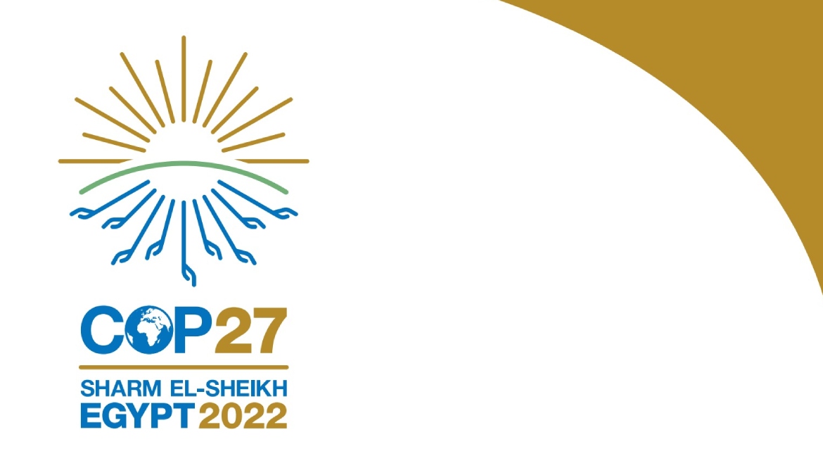 Summit mondiale COP27