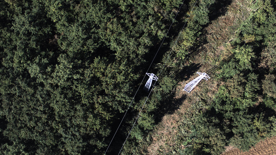 Immagini degli impianti elettrici invasi dalla vegetazione