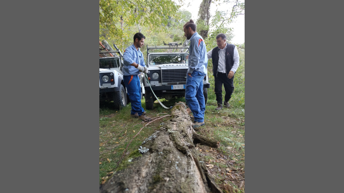 alcuni mezzi fuoristrada di e-distribuzione