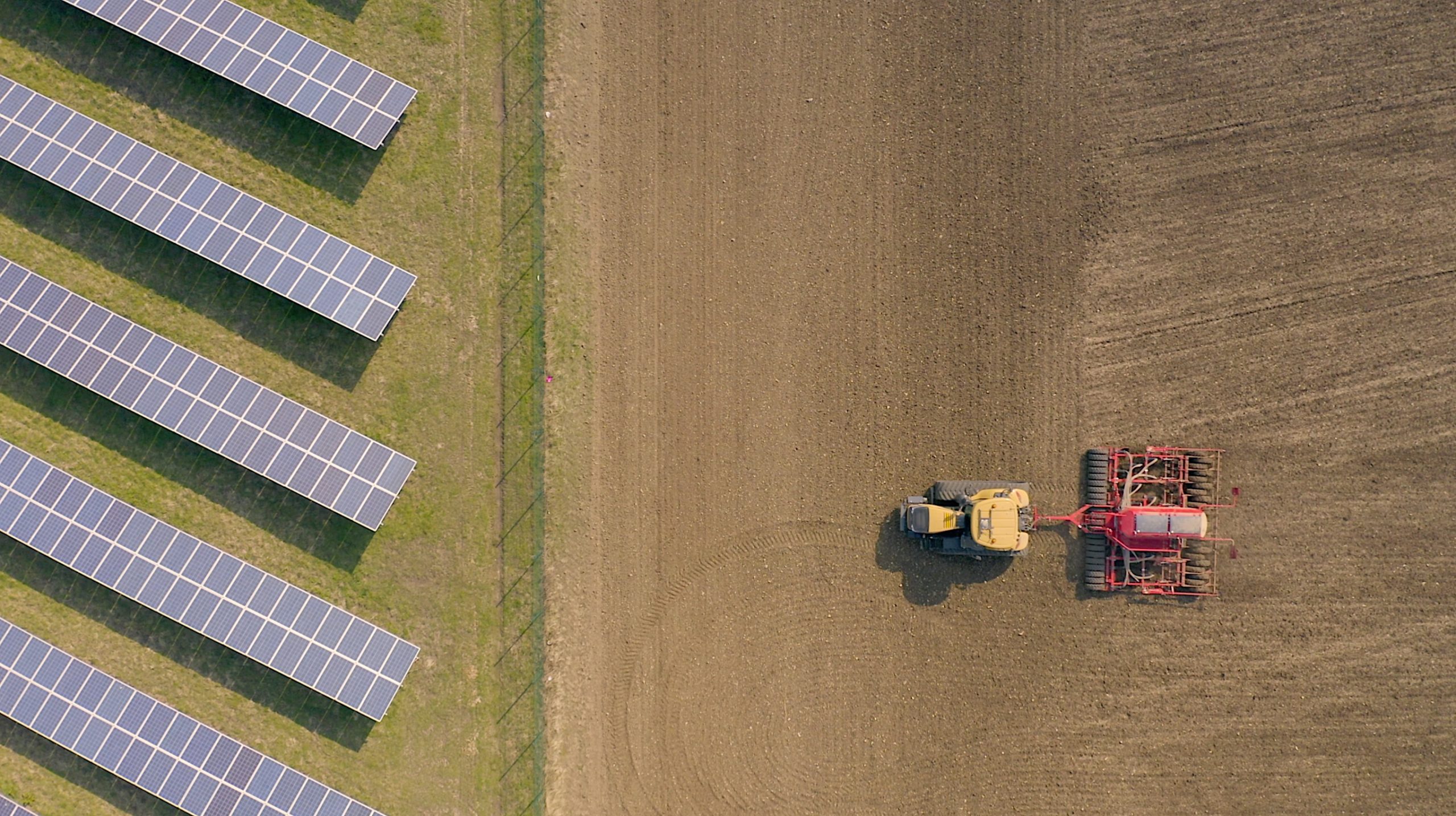 Foto pannelli fotovoltaici campo