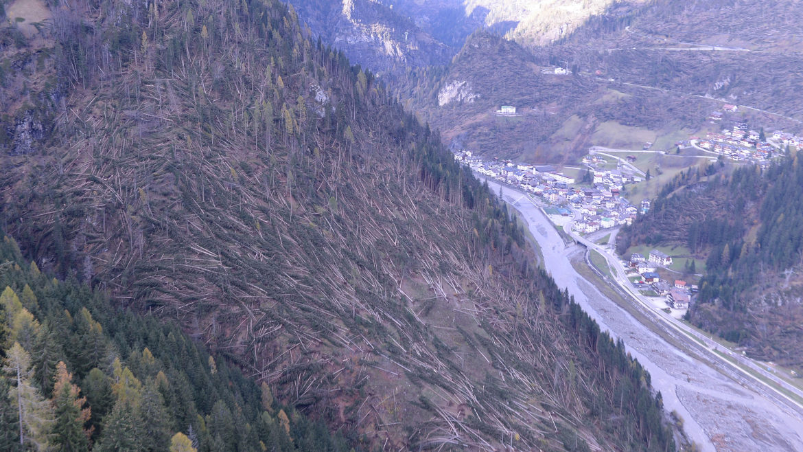foto di alberi caduti durante la tempesta vaia