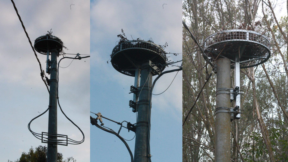Immagini delle strutture in metallo poste sui tralicci per la nidificazione delle cicogne 